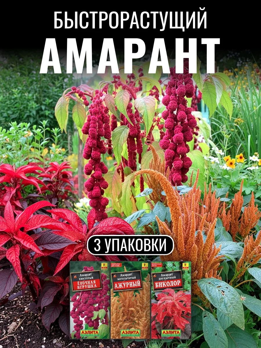 Амарант Елочная игрушка хвостатый