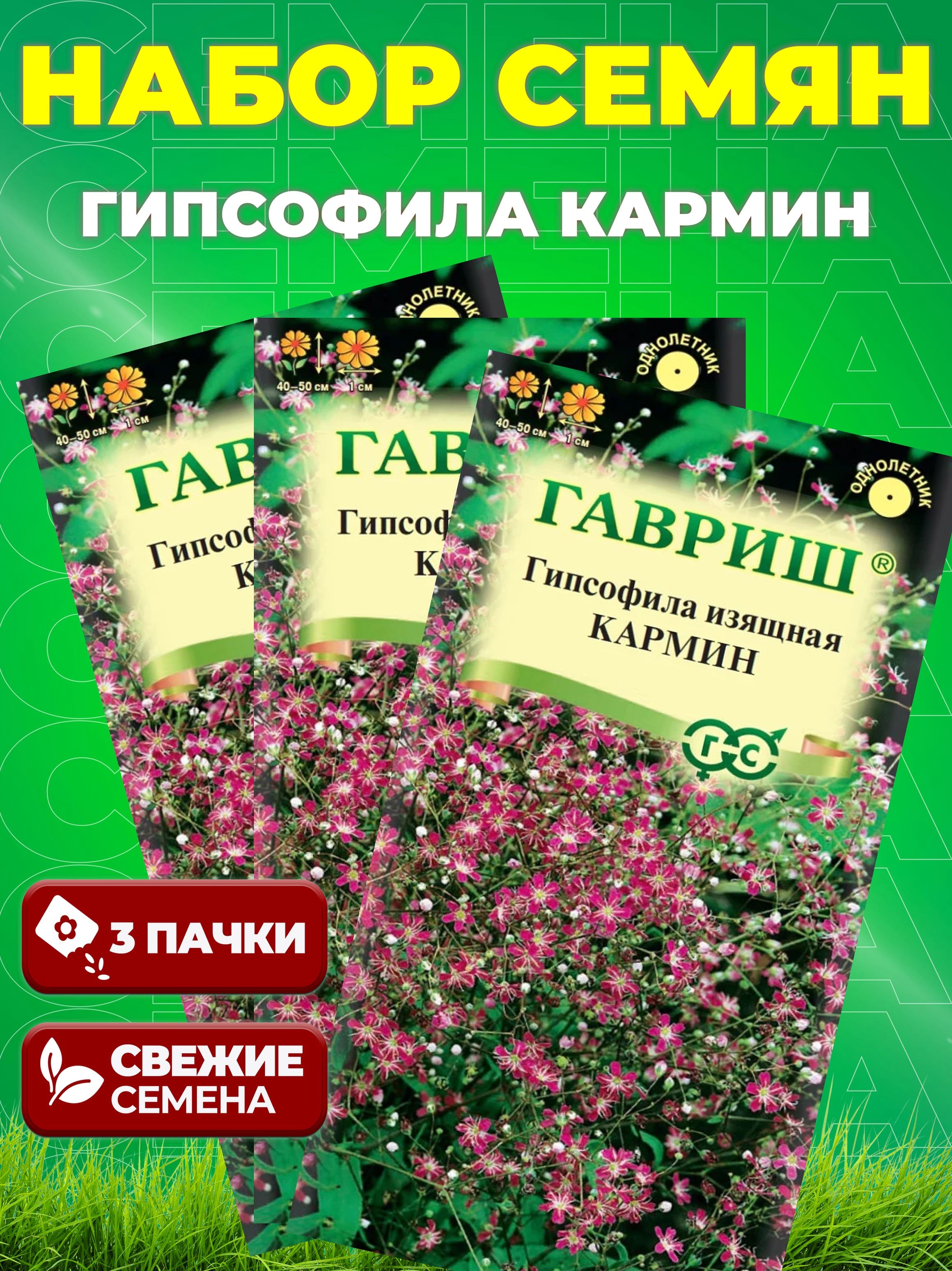 Семена Гипсофила Кармин изящная