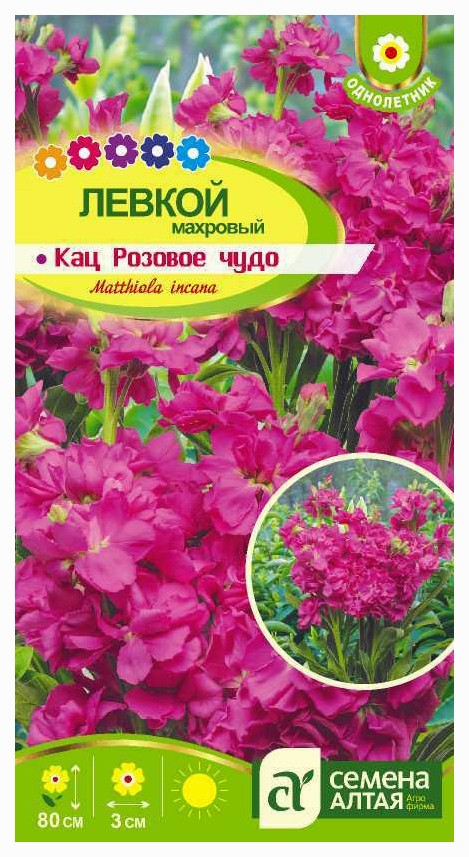 Левкой махровый Кац Абрикосовое чудо
