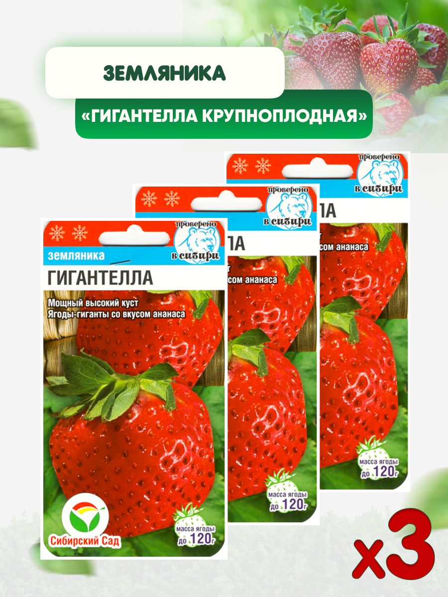 Семена Земляника (клубника) Гигантелла крупноплодная
