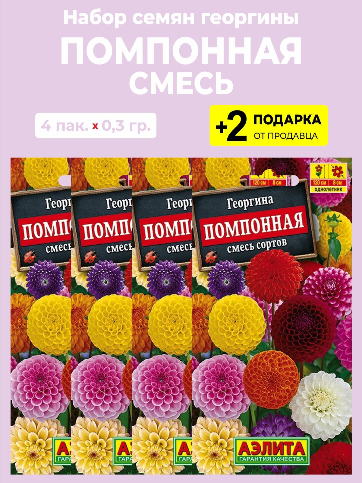 Георгина помпонная, смесь сортов