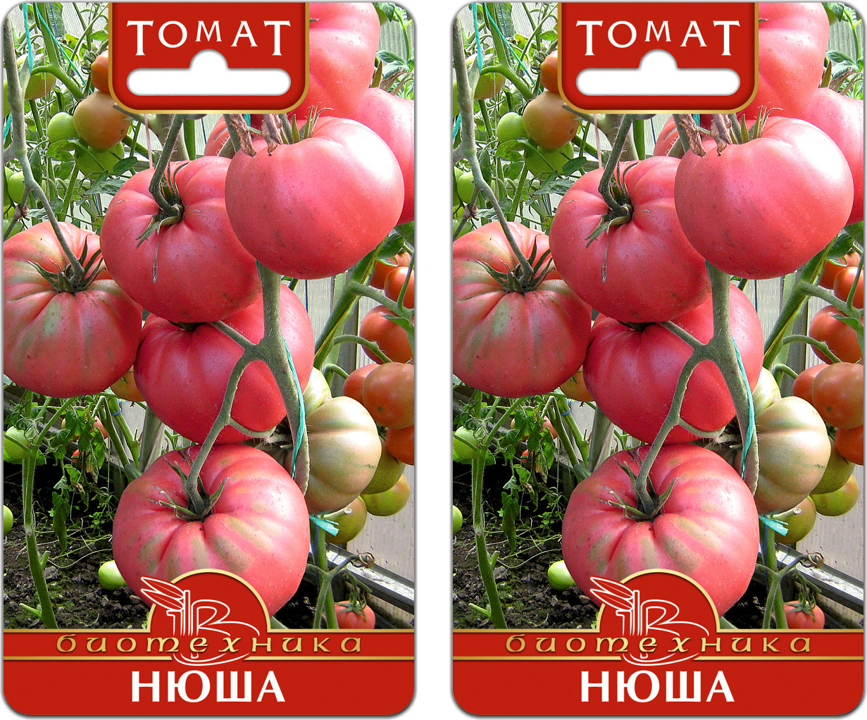 Семена Томат Нюша