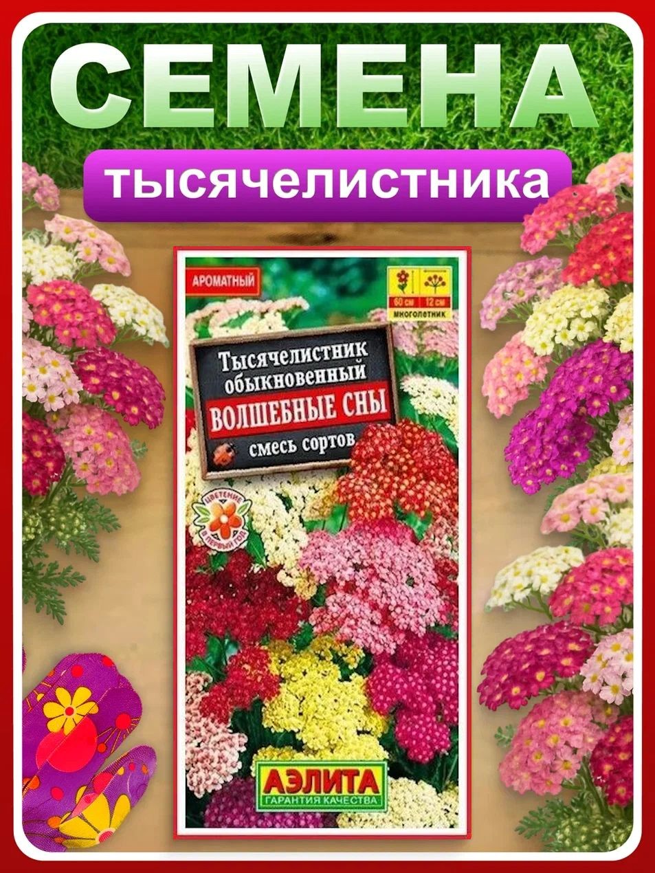 Семена Тысячелистник Волшебные сны смесь
